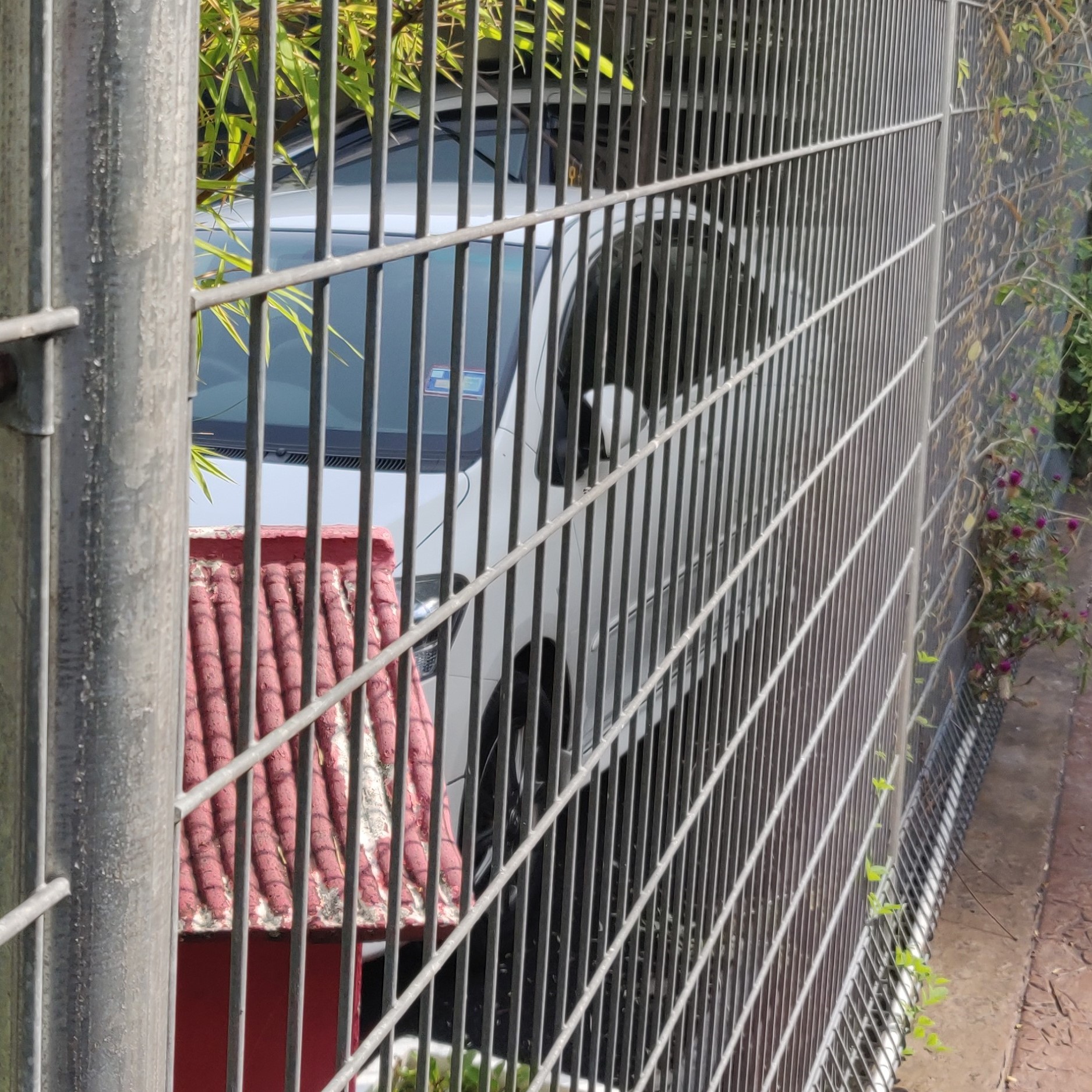 weld mesh fence